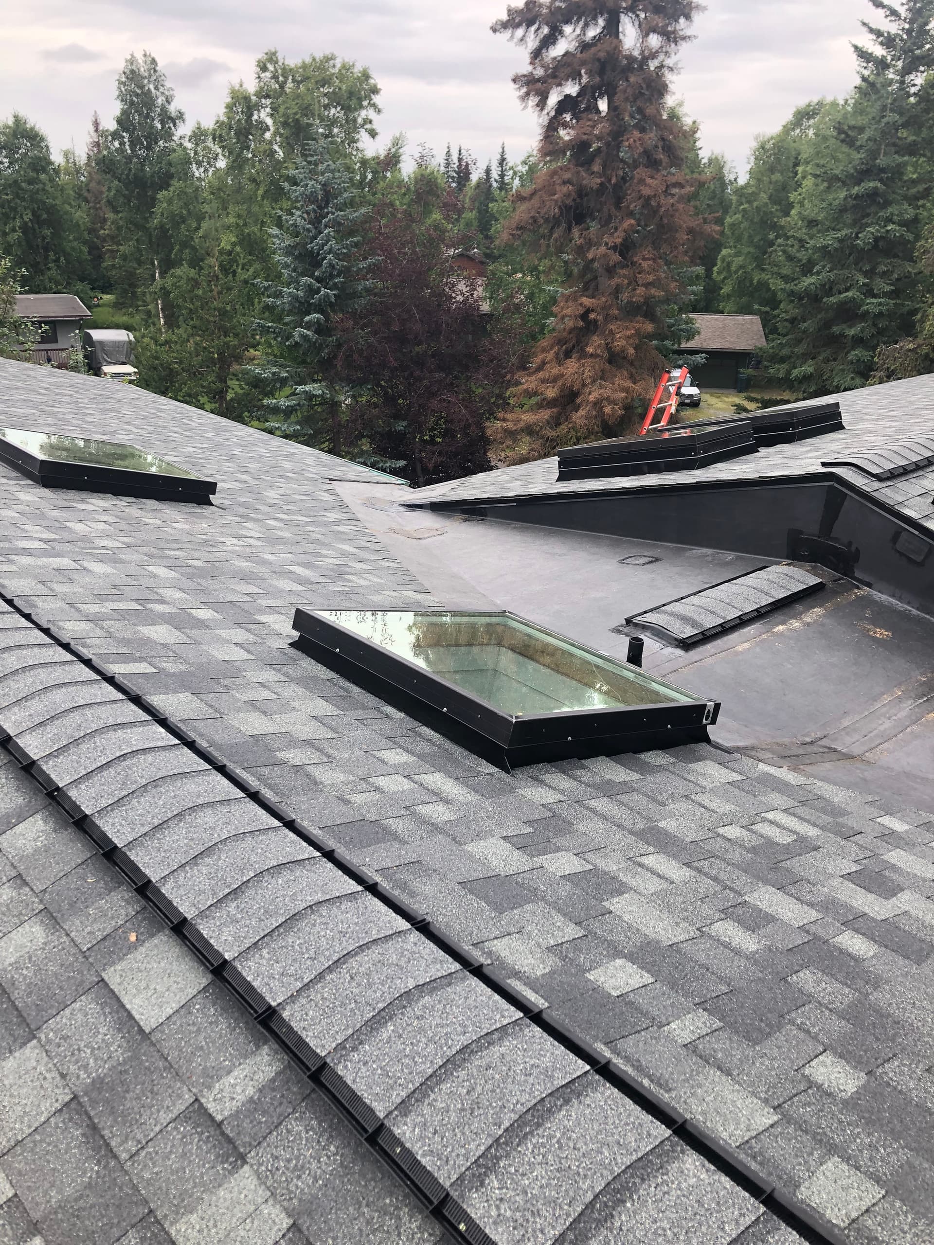 Gallery photos for Residential Roof Installation with Multiple Skylights Done Right: Image #1